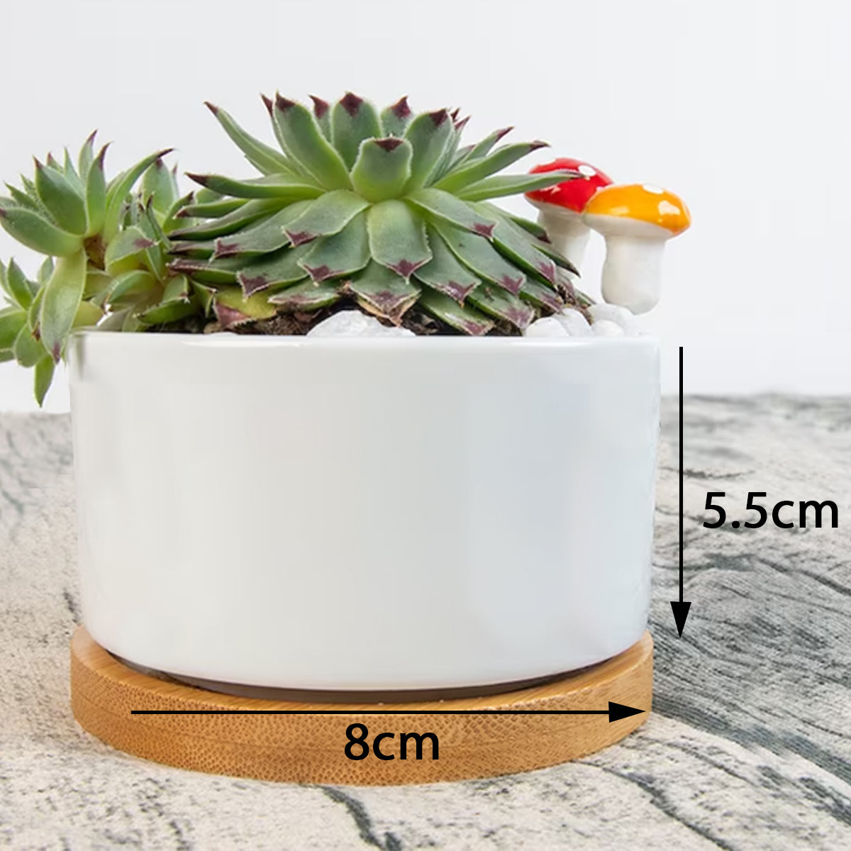 Float And Cat Funny Single Side Printing Flowerpot